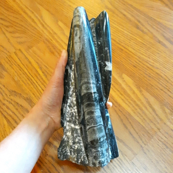 None Other - Fossil Orthoceras Tower